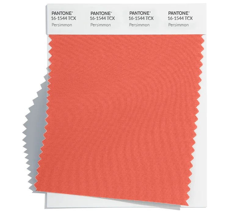 Pantone-16-1544-Persimmon.jpg